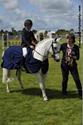 The 29th Annual National Balmoral Championships The Show so far in pictures....